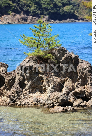 夏の美保関 惣津海岸 5 夏の美保関 惣津海岸 5 142331490