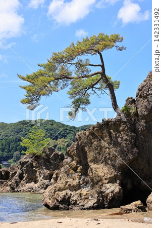 夏の美保関 惣津海岸 3 夏の美保関 惣津海岸 3 142331492