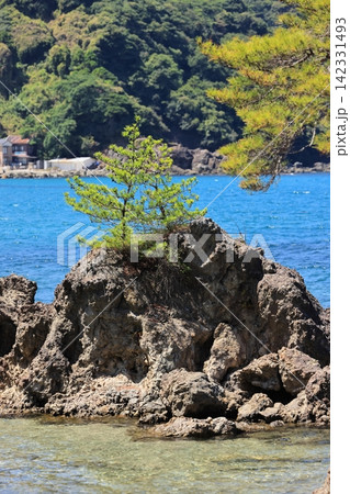 夏の美保関 惣津海岸 2 夏の美保関 惣津海岸 2 142331493