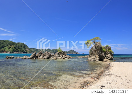 夏の美保関 惣津海岸 21 夏の美保関 惣津海岸 21 142331554