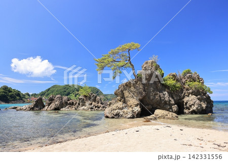 夏の美保関 惣津海岸 19 夏の美保関 惣津海岸 19 142331556