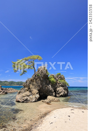 夏の美保関 惣津海岸 17 夏の美保関 惣津海岸 17 142331558