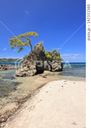夏の美保関 惣津海岸 15 夏の美保関 惣津海岸 15 142331560