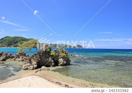 夏の美保関 惣津海岸 13 夏の美保関 惣津海岸 13 142331562