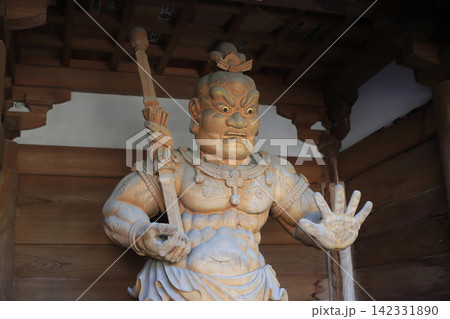 第六番札所 温泉山 瑠璃光院 安楽寺 仁王門の阿行像 第六番札所 温泉山 瑠璃光院 安楽寺 仁王門の阿行像 142331890