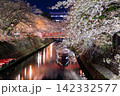 岐阜県大垣市 奥の細道むすびの地 水門川と舟と赤い橋の夜桜ライトアップ 142332577