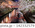 岐阜県大垣市 奥の細道むすびの地 水門川と舟と赤い橋の夜桜ライトアップ 142332579