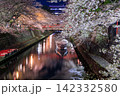 岐阜県大垣市 奥の細道むすびの地 水門川と舟と赤い橋の夜桜ライトアップ 142332580