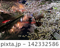 岐阜県大垣市 奥の細道むすびの地 水門川と舟と赤い橋の夜桜ライトアップ 142332586