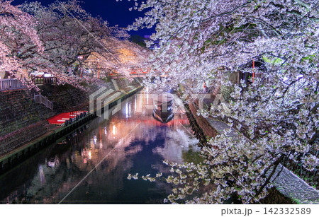 岐阜県大垣市 奥の細道むすびの地 水門川と舟と赤い橋の夜桜ライトアップ 岐阜県大垣市 奥の細道むすびの地 水門川と舟と赤い橋の夜桜ライトアップ 142332589