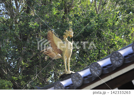 第六番札所 温泉山 瑠璃光院 安楽寺 金剛宝拝殿の屋根に輝く鳳凰 第六番札所 温泉山 瑠璃光院 安楽寺 金剛宝拝殿の屋根に輝く鳳凰 142333263