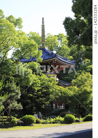 第六番札所 温泉山 瑠璃光院 安楽寺の新緑に包まれた多宝塔 第六番札所 温泉山 瑠璃光院 安楽寺の新緑に包まれた多宝塔 142333264