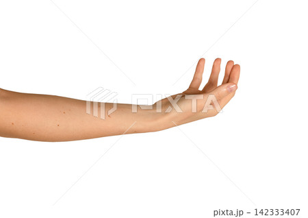 Female right hand cups upward asking for something. Fingers curve gently as if holding a round Female right hand cups upward asking for something. Fingers curve gently as if holding a round 142333407