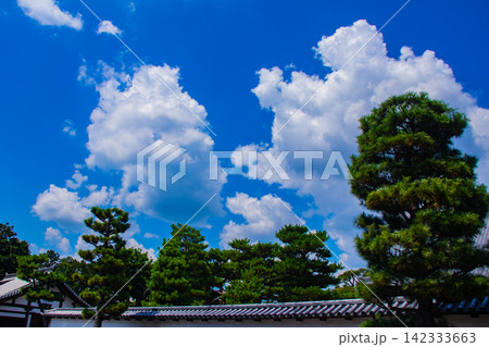 【京都風景】大きな雲が広がる信仰も歴史もある相国寺の夏 【京都風景】大きな雲が広がる信仰も歴史もある相国寺の夏 142333663