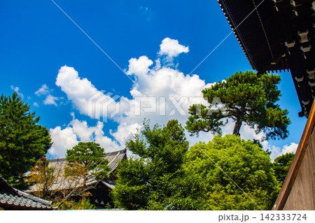 【京都風景】大きな雲が広がる信仰も歴史もある相国寺の夏 【京都風景】大きな雲が広がる信仰も歴史もある相国寺の夏 142333724