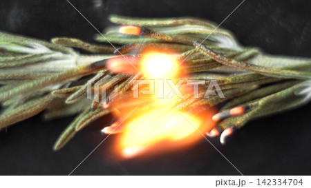 Rosemary herb burning with bright flame and glowing embers, creating aromatic smoke for cooking and traditional rituals Rosemary herb burning with bright flame and glowing embers, creating aromatic smoke for cooking and traditional rituals 142334704