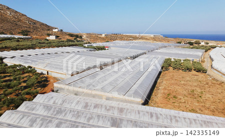 Vast greenhouse complex cultivating crops near the Mediterranean Sea on the island of Crete, agricultural industry producing fresh produce 142335149