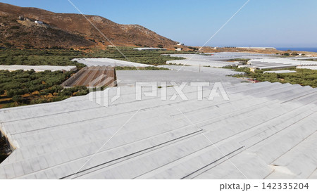 Extensive greenhouses and olive groves covering hillsides near the sea in Falassarna, Crete 142335204