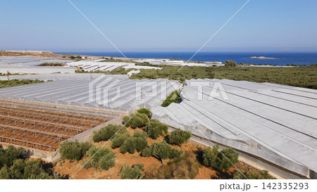 Greenhouses and olive groves along the Mediterranean coast in Falassarna, Crete, Greece, with blue sea under clear sky Greenhouses and olive groves along the Mediterranean coast in Falassarna, Crete, Greece, with blue sea under clear sky 142335293