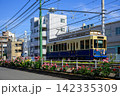都電荒川線　満開の薔薇とレトロ車両 142335309