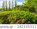 ツツジが咲き誇る初夏の猿江恩賜公園 142335311