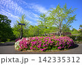 ツツジが咲き誇る初夏の猿江恩賜公園 142335312