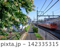 白い百日紅と東武野田線を走る8000系電車 142335315