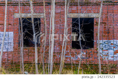 Abandoned red brick building facade with empty window openings and young trees in foreground 142335523