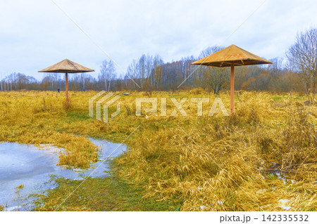 Weathered wooden sunshades standing in overgrown marshland beside shallow pools under cloudy sky Weathered wooden sunshades standing in overgrown marshland beside shallow pools under cloudy sky 142335532