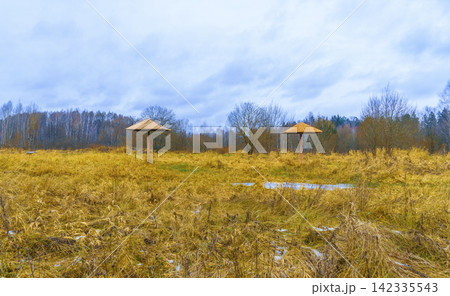 Abandoned picnic shelters standing in overgrown golden meadow beneath cloudy winter sky 142335543