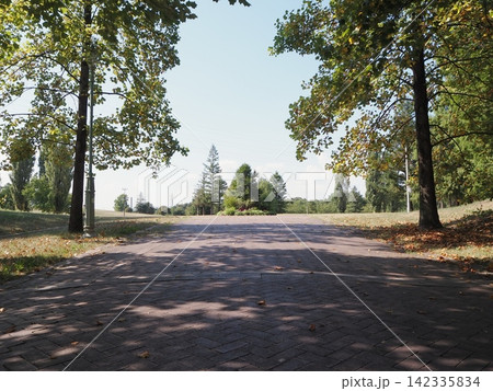 Scorching Summer: A Quiet Stroll Surrounded by Gre 142335834