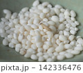 コメに湧く虫（ノシメマダラメイガ幼虫） 142336476