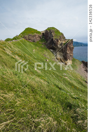 日本 北海道積丹町・神威岬の風に揺れる夏の野草と荒々しくそびえ立つ奇岩 日本 北海道積丹町・神威岬の風に揺れる夏の野草と荒々しくそびえ立つ奇岩 142336516