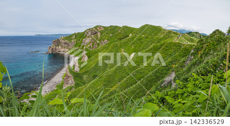 日本 北海道積丹町・青々とした夏の野草越しに望む積丹半島・神威岬の美しい海岸線 日本 北海道積丹町・青々とした夏の野草越しに望む積丹半島・神威岬の美しい海岸線 142336529