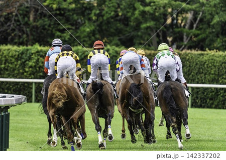 競馬場の風景 コーナーを回る馬 新潟県新潟市 競馬場の風景 コーナーを回る馬 新潟県新潟市 142337202