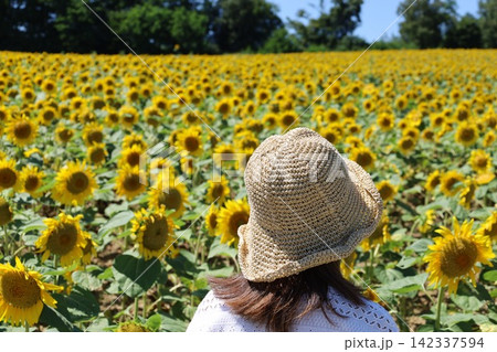 北海道、初夏、夏の北海道、ひまわり畑、旅する女子、北竜町の夏の日、向日葵と青空と夏空、これぞ北海道 142337594