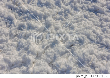 Close-Up of Textured Snow Surface with chicken feet imprints Close-Up of Textured Snow Surface with chicken feet imprints 142339107