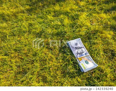 Bundle of Hundred Dollar Bills on Green Grass Bundle of Hundred Dollar Bills on Green Grass 142339240