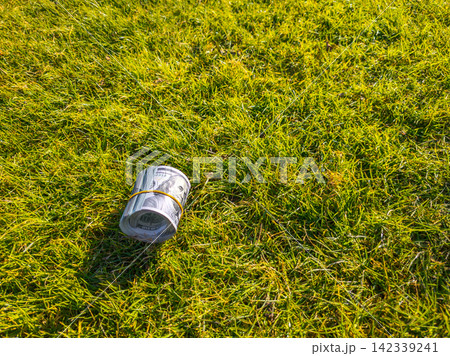 Roll of US Dollar Bills on Green Grass Lawn Roll of US Dollar Bills on Green Grass Lawn 142339241