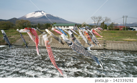 春の空を泳ぐ鯉のぼり 春の空を泳ぐ鯉のぼり 142339292
