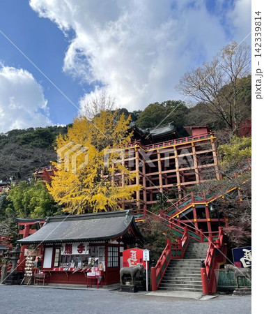紅葉と銀杏に彩られた祐徳稲荷神社（佐賀県鹿島市） 142339814