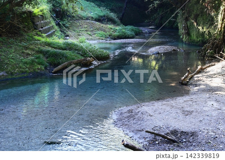 清流のある風景 清流のある風景 142339819