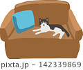 ソファとクッションと猫のイラスト 142339869