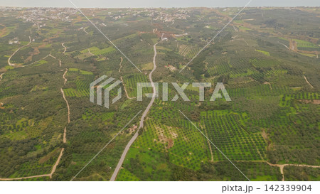 Aerial perspective of a winding road meandering through expansive olive fields in Crete, highlighting the rich greenery of the Mediterranean landscape and a distant village nestled among the hills Aerial perspective of a winding road meandering through expansive olive fields in Crete, highlighting the rich greenery of the Mediterranean landscape and a distant village nestled among the hills 142339904