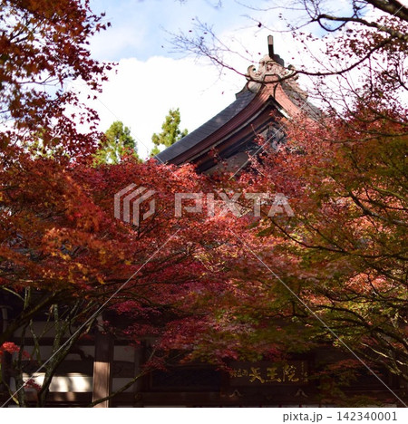 紅葉に包まれる呑山観音寺の本堂（福岡県篠栗町） 142340001