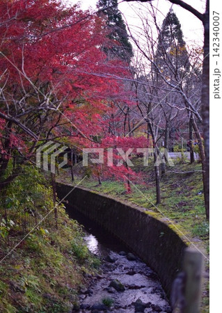 呑山観音寺の紅葉と小さな川(福岡県篠栗町) 呑山観音寺の紅葉と小さな川(福岡県篠栗町) 142340007
