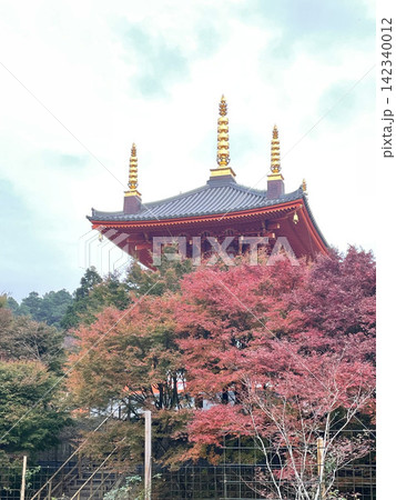 紅葉と呑山観音寺の瑜祇大宝塔（福岡県篠栗町） 142340012
