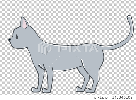 Illustration of a Russian Blue cat Illustration of a Russian Blue cat 142340108