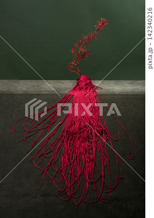 Red grapevine with long red strands on a green background Red grapevine with long red strands on a green background 142340216
