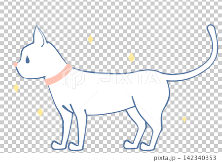 キラキラした猫のイラスト キラキラした猫のイラスト 142340353